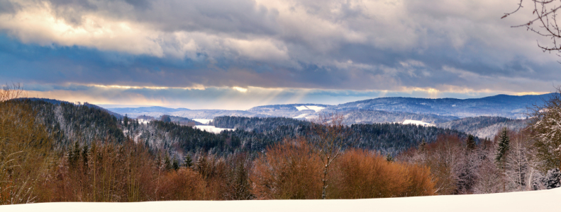 Bild-Nr: 11972095 Bayrischer Wald im Winter Erstellt von: DirkR