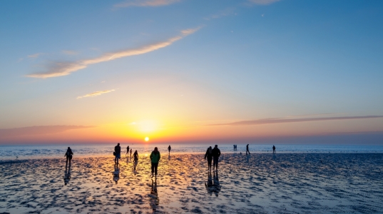 Bild-Nr: 11972184 Abendstimmung im Wattenmeer Erstellt von: Michael Rechter