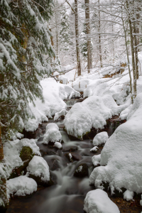 Bild-Nr: 11972226 Bach im Winter Erstellt von: DirkR