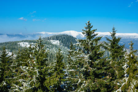 Bild-Nr: 11973965 Winter im Riesengebirge Erstellt von: Rico Ködder