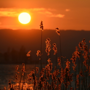 Bild-Nr: 11975170 sundown Erstellt von: GUGIGEI