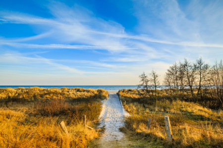 Bild-Nr: 11975395 Dünenweg zum Meer   Erstellt von: Ursula Reins