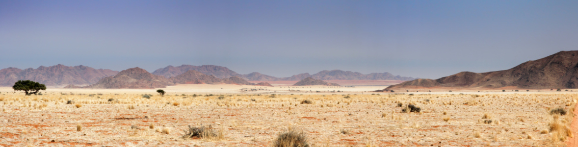 Bild-Nr: 11978841 Wüste in Namibia Erstellt von: DirkR