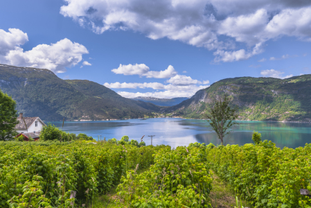 Bild-Nr: 11978891 Blick über den Fjord - Norwegen Erstellt von: KundenNr-160338