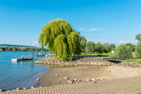 Bild-Nr: 11981907 Rhein bei Heidenfahrt Erstellt von: Erhard Hess