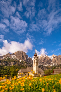 Bild-Nr: 11989473 Frühlingsidylle in den Dolomiten Erstellt von: Achim Thomae