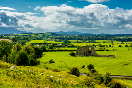 Bild-Nr: 11990135 Landschaft mit Schafen und Burg in Irland Erstellt von: grafxart