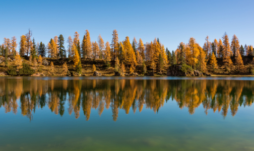 Bild-Nr: 11991169 Herbstliche Baumreihe am Federa See der Dolomiten Erstellt von: Graphitone