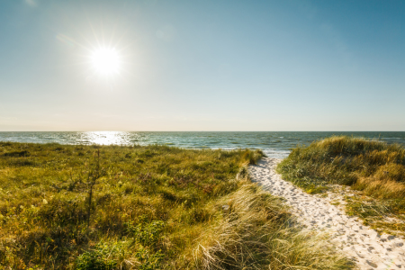 Bild-Nr: 11993515 Ostsee im Sonnenlicht Erstellt von: Ursula Reins