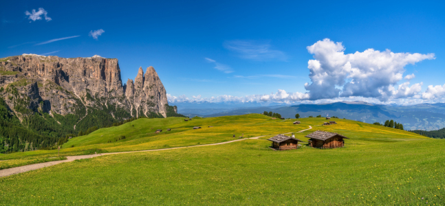 Bild-Nr: 11993537 Seiser Alm Südtirol im Frühling Erstellt von: Achim Thomae