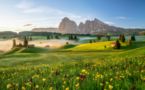 Bild-Nr: 11993544 Sonnenaufgang auf der Seiser Alm in Südtirol Erstellt von: Achim Thomae