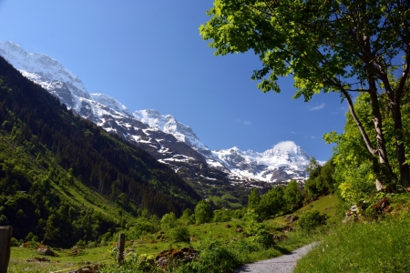 Bild-Nr: 11993742 Wanderweg Erstellt von: Bettina Schnittert