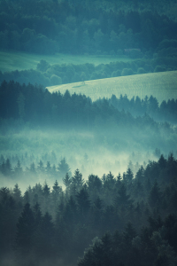 Bild-Nr: 11995139 Landschaft im Morgennebel Erstellt von: luxpediation