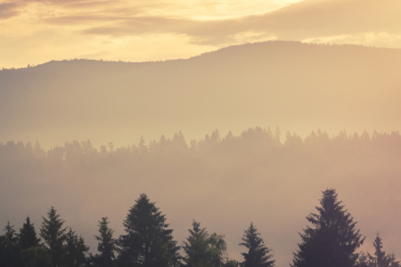 Bild-Nr: 11998620 Landschaft am Morgen im Bayerischen Wald Erstellt von: luxpediation