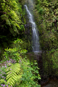 Bild-Nr: 11998944 Waldidylle Wasserfall Erstellt von: Thomas Herzog