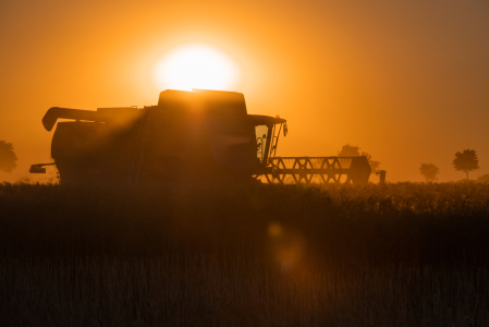 Bild-Nr: 11999005 Landmaschinen im Abendlicht Erstellt von: Tanja Riedel