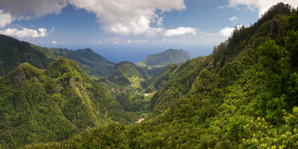 Bild-Nr: 11999909 Madeira - Blick in den Norden Erstellt von: Thomas Herzog