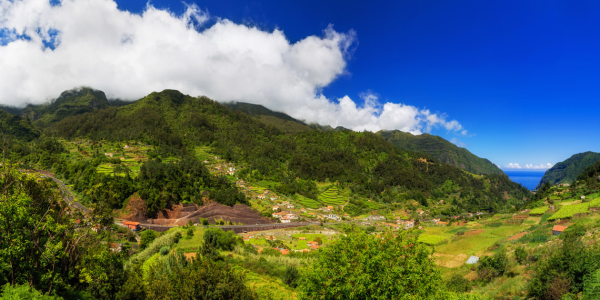 Bild-Nr: 11999944 Madeira - fruchtbares Land Erstellt von: Thomas Herzog