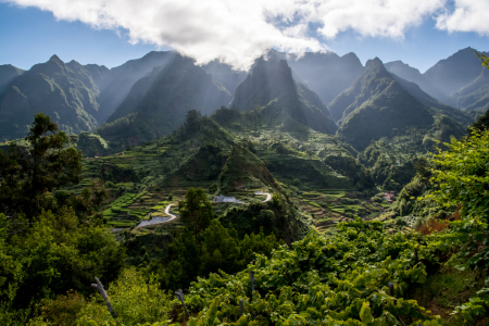 Bild-Nr: 12000014 Weinberge auf Madeira Erstellt von: tobias-schulte