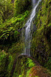 Bild-Nr: 12003382 Madeira - Levada - Wasserfall Erstellt von: Thomas Herzog