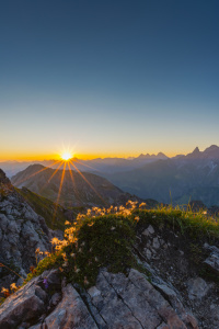 Bild-Nr: 12003687 Alpen-Küchenschelle Erstellt von: Walter G. Allgöwer