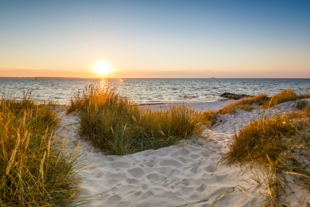 Bild-Nr: 12003711 Goldene Ostsee Dünen Erstellt von: Ursula Reins