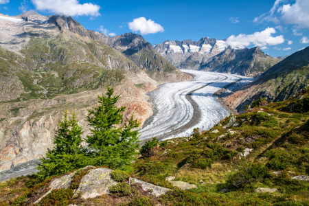 Bild-Nr: 12003936 Großer Aletschgletscher - Wallis - Schweiz Erstellt von: Achim Thomae