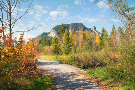 Bild-Nr: 12005278 Ettaler Weidmoos Wanderweg im Herbst Erstellt von: SusaZoom