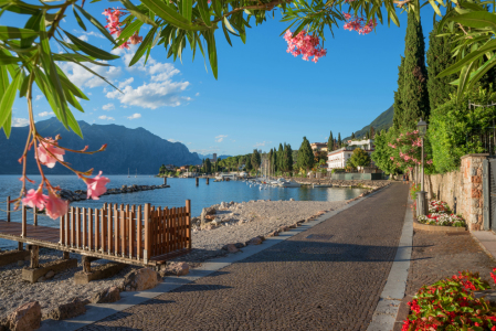 Bild-Nr: 12007568 Uferpromenade Malcesine mit Oleanderzweigen Erstellt von: SusaZoom