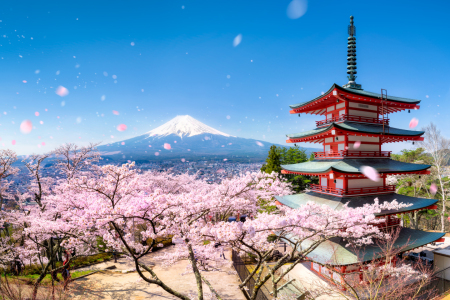 Bild-Nr: 12012008 Berg Fuji und Chureito Pagode in Japan Erstellt von: eyetronic