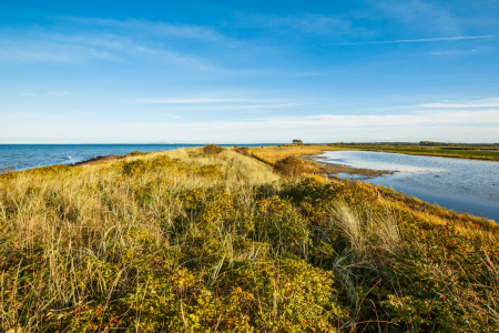 Bild-Nr: 12012883 Dünen und Meer  Erstellt von: Ursula Reins