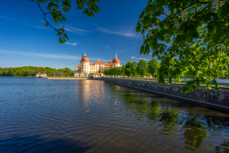 Bild-Nr: 12012885 Schloß Moritzburg Erstellt von: FotoDeHRO