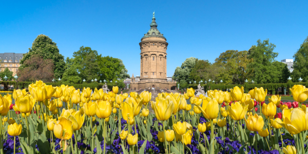 Bild-Nr: 12013008 Wasserturm in Mannheim im Frühling Erstellt von: eyetronic