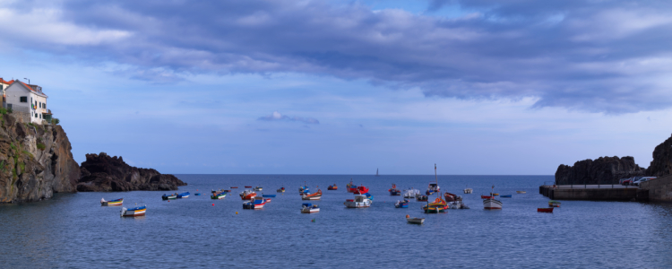 Bild-Nr: 12013326 Bunte Boote im Hafen von Camara de Lobos Erstellt von: Dennis Gross