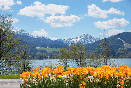 Bild-Nr: 12014383 Frühling am Tegernsee Erstellt von: SusaZoom