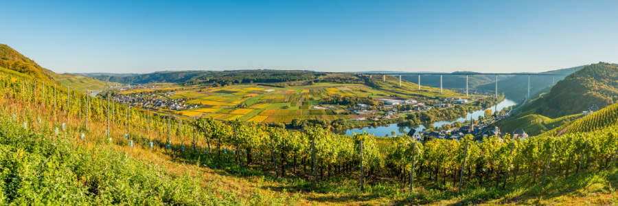 Bild-Nr: 12014480 Moselschleife bei Ürzig -1- Erstellt von: Erhard Hess