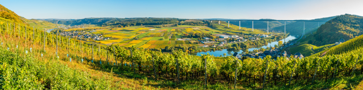 Bild-Nr: 12014489 Moselschleife bei Ürzig -3- Erstellt von: Erhard Hess