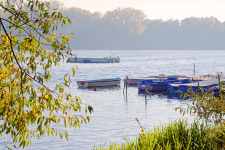 Bild-Nr: 12014692 Morgenstimmung am Wardersee Erstellt von: Ostfriese