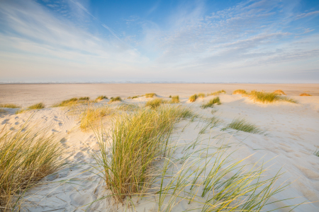 Bild-Nr: 12014871 Norderney - Nebel über der Nordsee Erstellt von: Ursula Reins