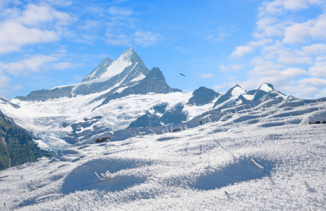 Bild-Nr: 12015739 Winterlandschaft Schreckhorn im Berner Oberland Erstellt von: SusaZoom