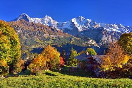 Bild-Nr: 12016285 Alphütte mit Aussicht Erstellt von: suteracher