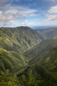 Bild-Nr: 12017336 Kauai Erstellt von: DirkR