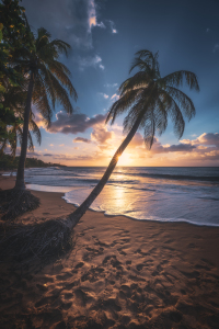 Bild-Nr: 12017602 Guadeloupe Karibik Strand zum Sonnenuntergang Erstellt von: Jean Claude Castor