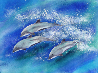 Bild-Nr: 12018371 Maui Delfine Erstellt von: JitkaKrause
