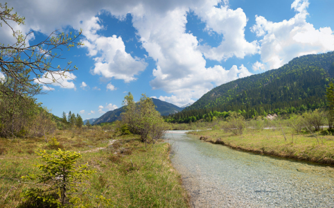 Bild-Nr: 12019278 Auenlandschaft Obere Isar Erstellt von: SusaZoom