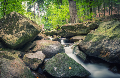 Bild-Nr: 12019374 Wasserfall Harz  Erstellt von: luxpediation