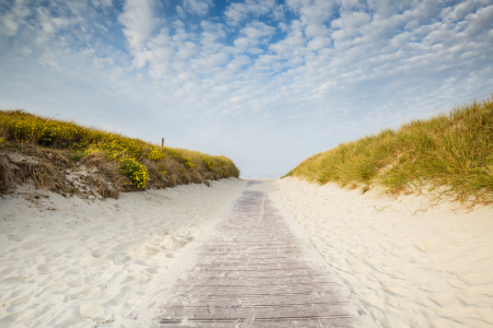 Bild-Nr: 12019676 Strandweg zum Meer   Erstellt von: Ursula Reins