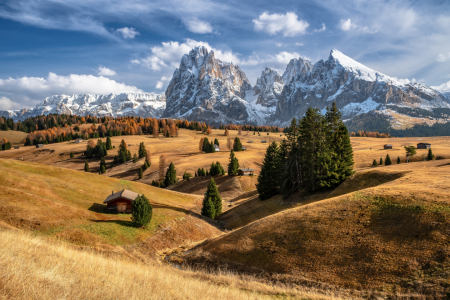 Bild-Nr: 12020152 Herbst auf der Seiser Alm Südtirol Erstellt von: Achim Thomae