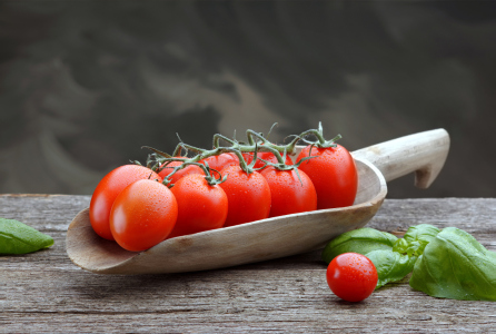 Bild-Nr: 12021151 Tomatenrispe Erstellt von: Rolf Eschbach
