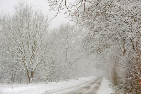 Bild-Nr: 12024153 Schneefall Erstellt von: Ostfriese